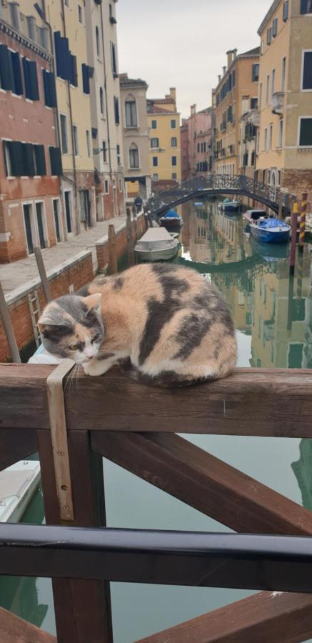 Apartamento Magic Casanova Flat In The Heart Of Venecia Exterior foto